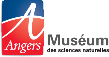 Muséum des sciences naturelles d'Angers